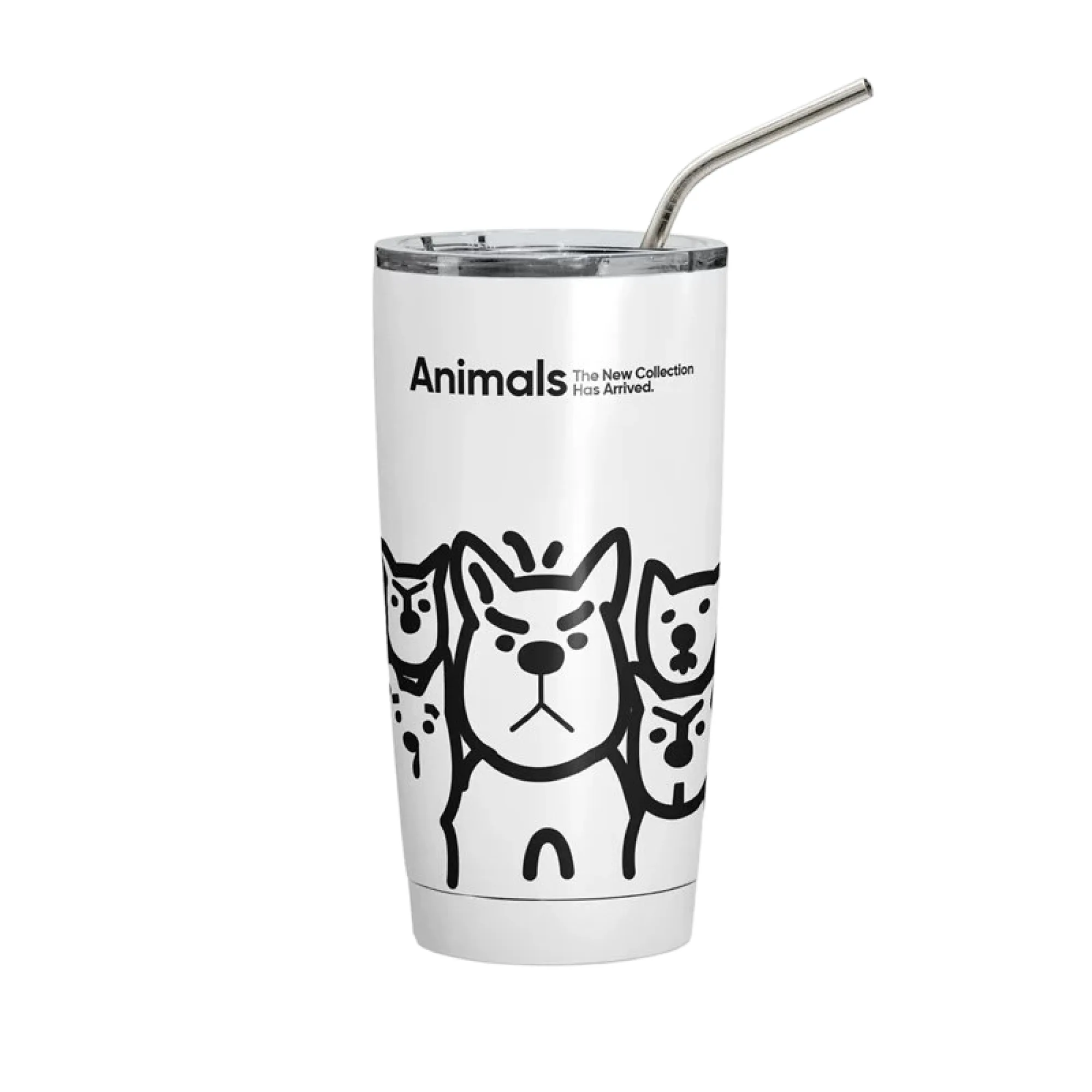 304 Stainless Steel Vacuum Insulated Tumbler with Straw Lid, 20oz