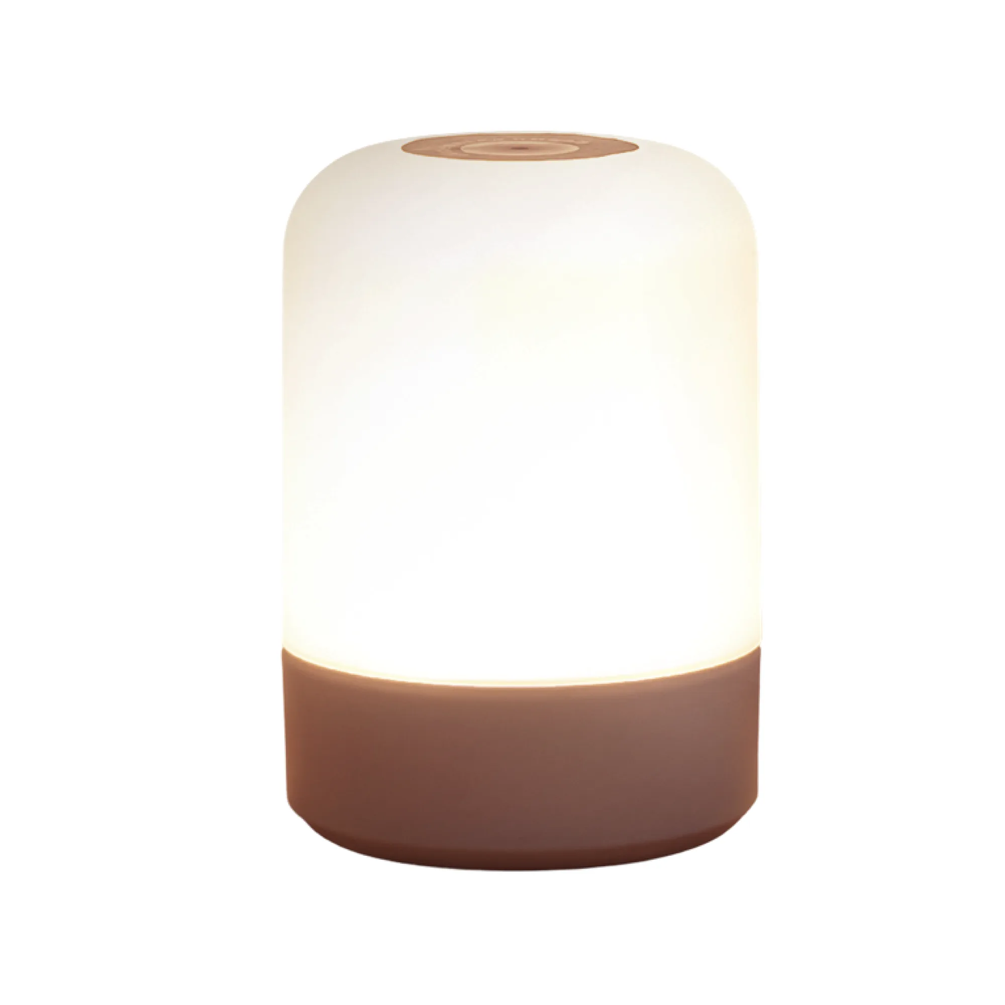 Rechargeable LED Bedside Night Light with Touch and Remote Control