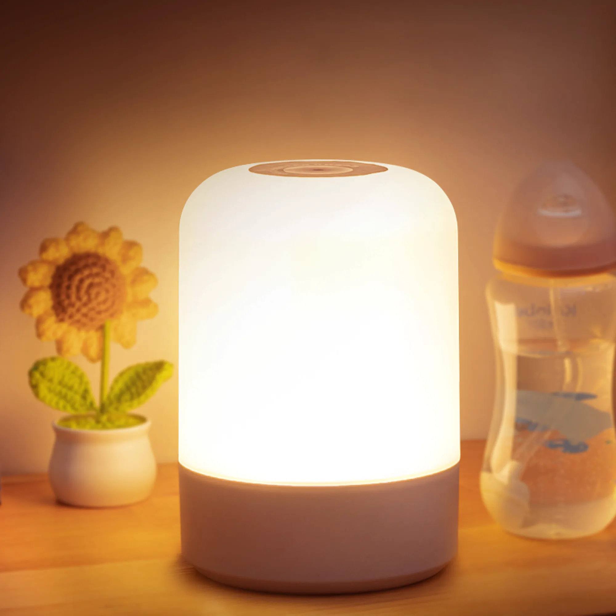 Rechargeable LED Bedside Night Light with Touch and Remote Control