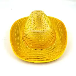 LED Light-Up Sequined Cowboy Hat thumbnail 9