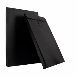 Document Envelope with String-and-Button Closure thumbnail 1