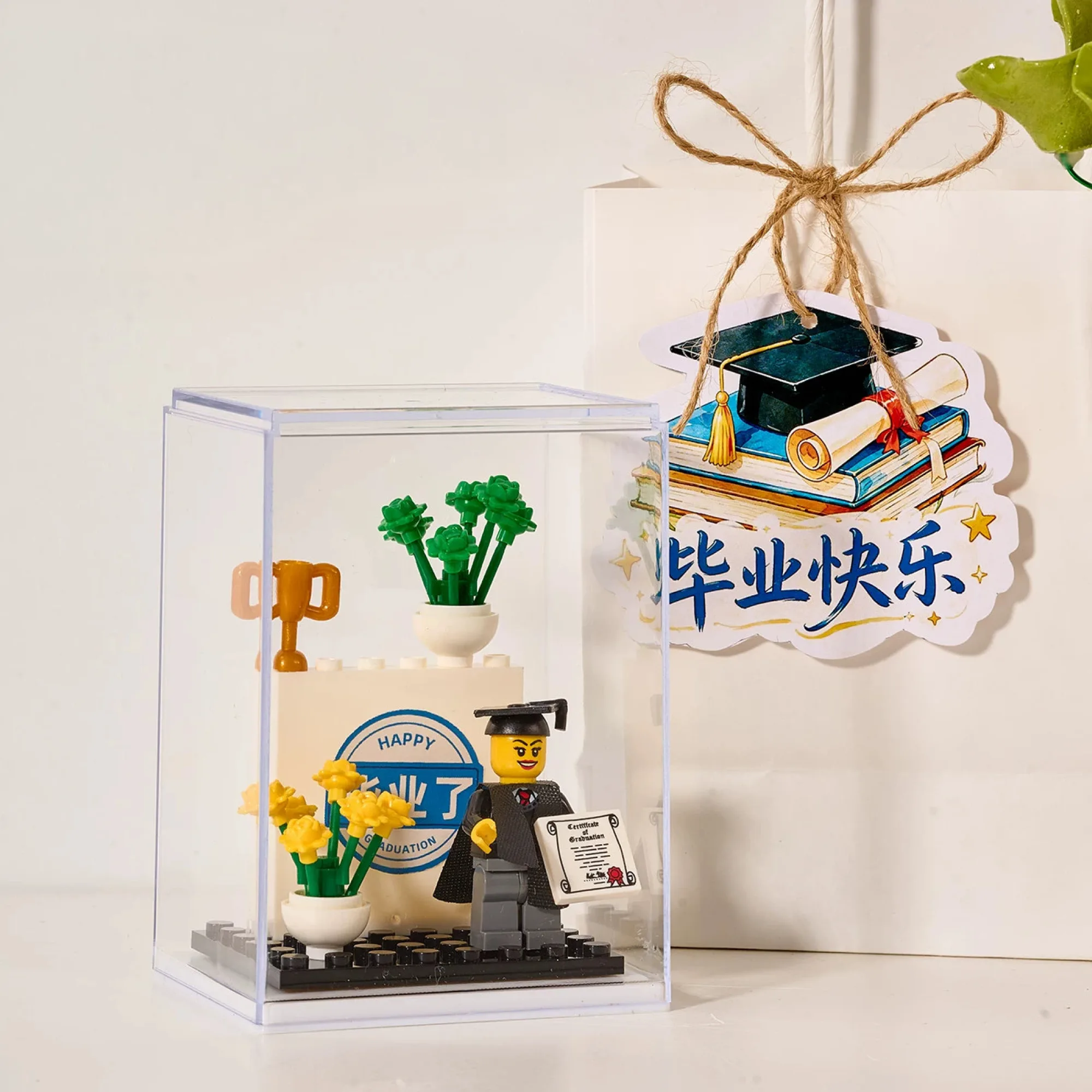 Graduation-Themed LEGO Building Block Ornament Set thumbnail 12