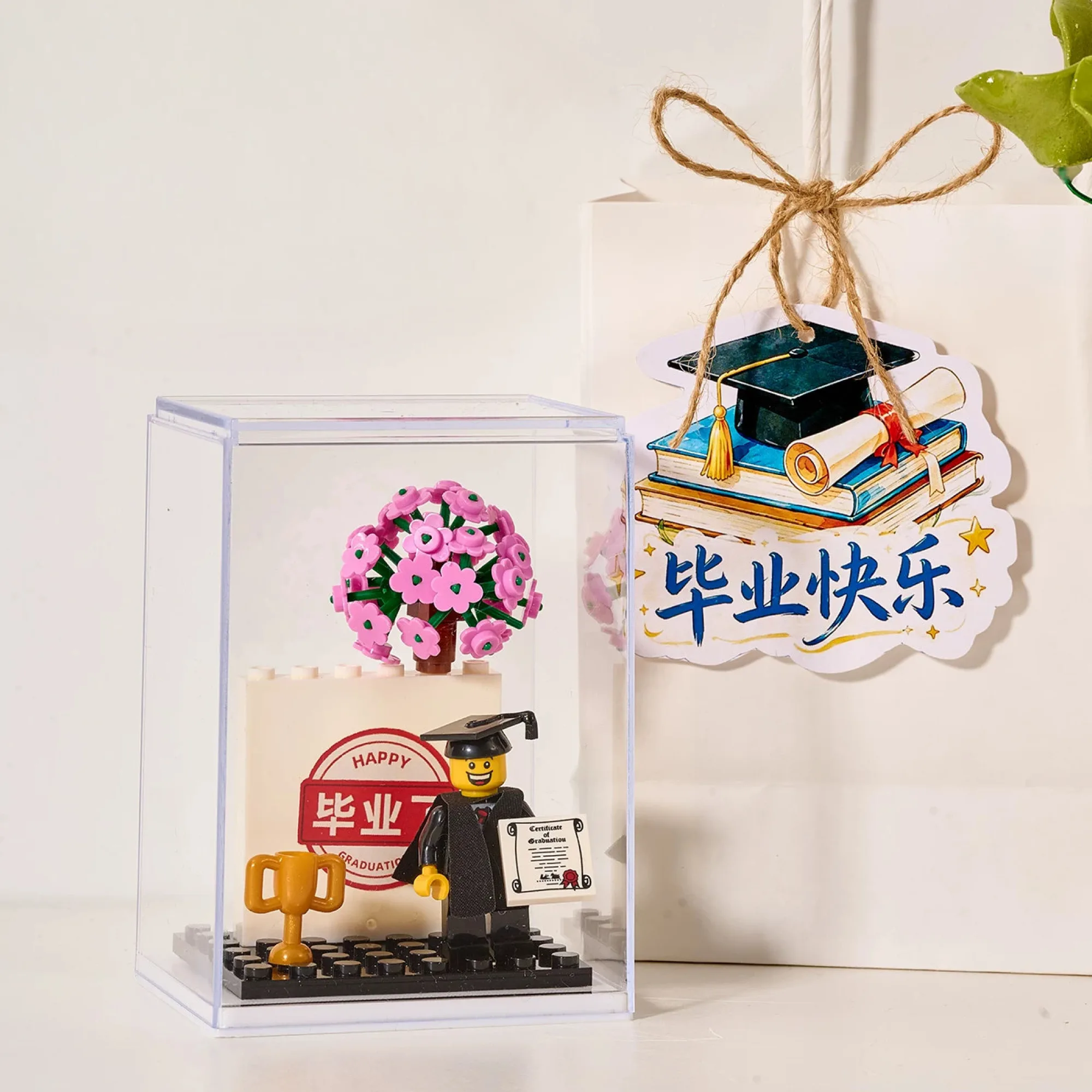 Graduation-Themed LEGO Building Block Ornament Set thumbnail 6
