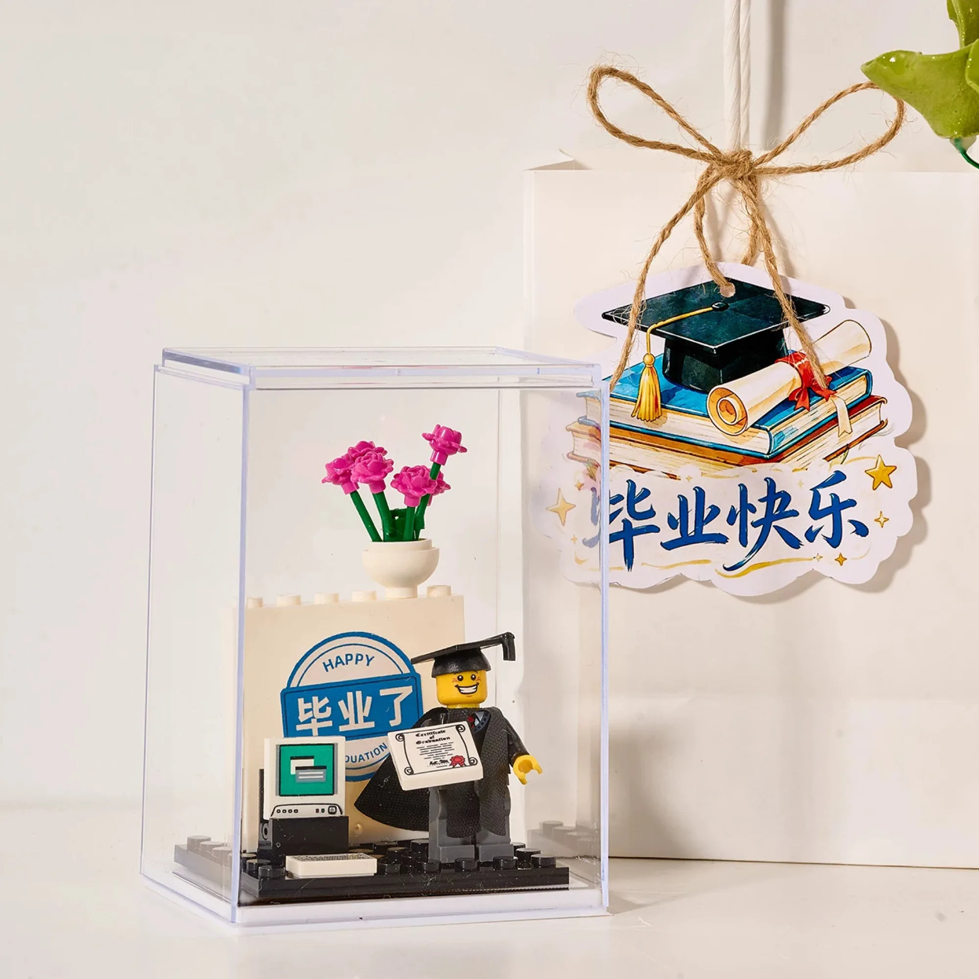 Graduation-Themed LEGO Building Block Ornament Set thumbnail 11