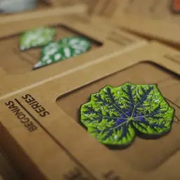 Begonia Leaf and Potted Plant Enamel Badge Gift Set thumbnail 13