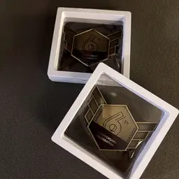 Historic Corporate Milestone Lapel Pin Collector's Box thumbnail 5